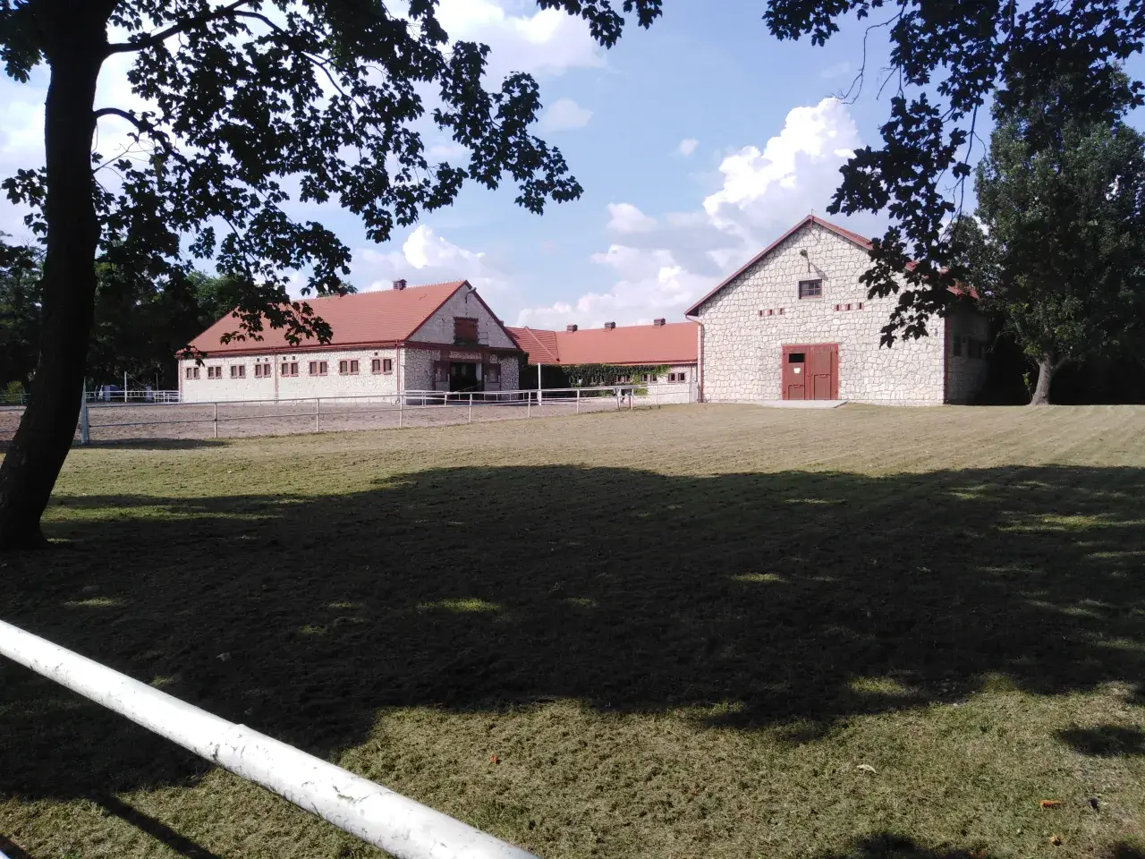 Polonya'daki Arap Atları