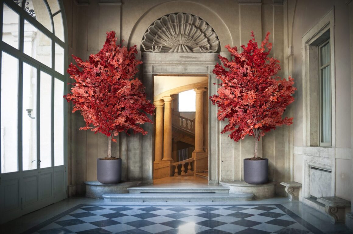 Bitkilerin Stabilizasyonu Nedir