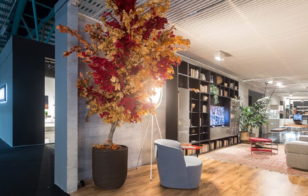 Bitkiler Nasıl Sabitlenir Blog