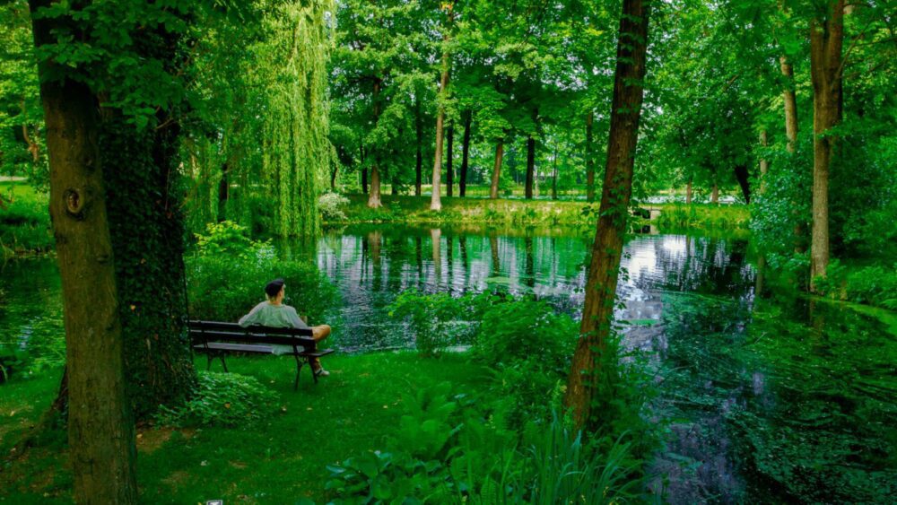 Manor House Park Otel