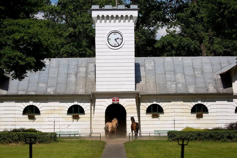 Polonya'daki Arap Atı Çiftlikleri
