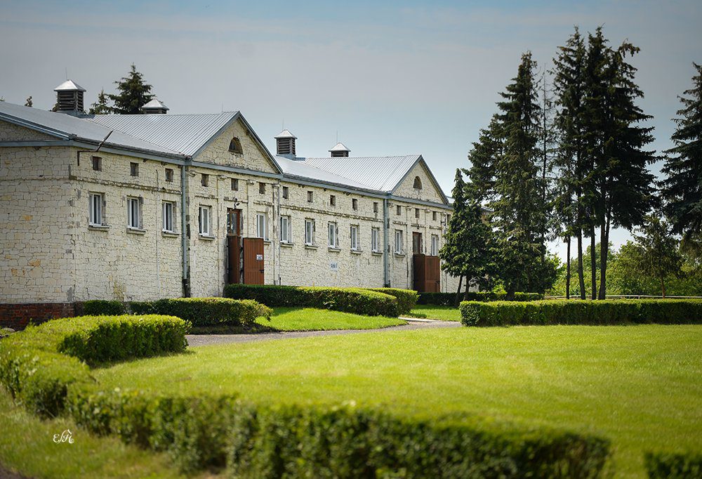 Bialka At Çiftliği