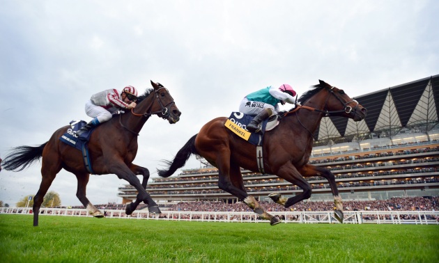 Frankel, Cirrus Des Aigles'i Geçerek Kazandı 20 10 12 Fotoğraf Bill Selwyn