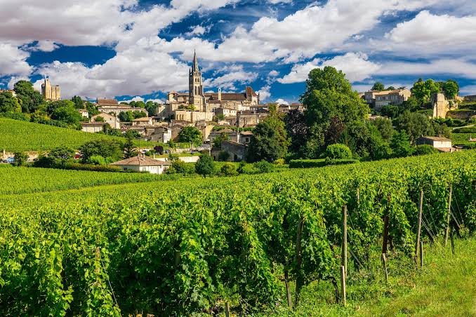 Bordeaux Bölgesi Şarapçılığı