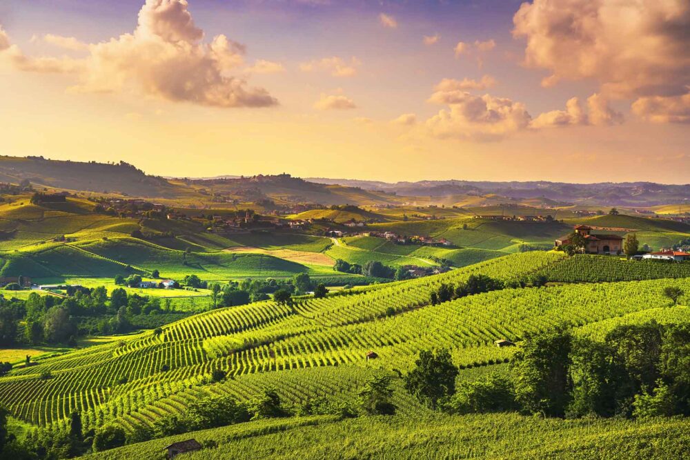 Langhe Bağları Gün Batımı Panoraması, Barolo, Piyemonte, İtalya Avrupa