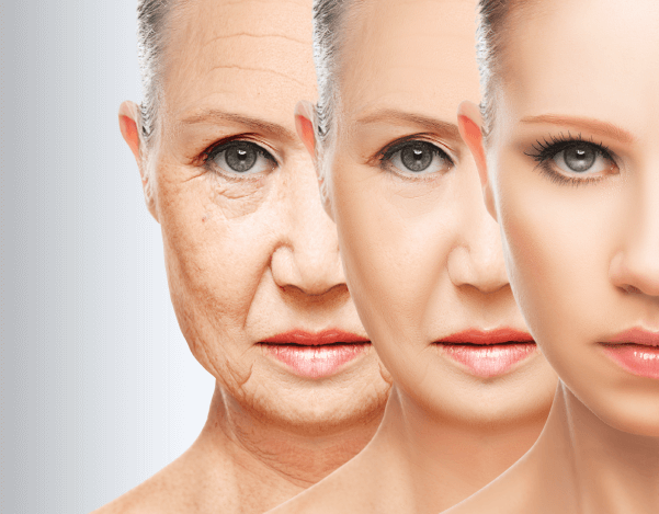 Epigenetik Saat Nedir