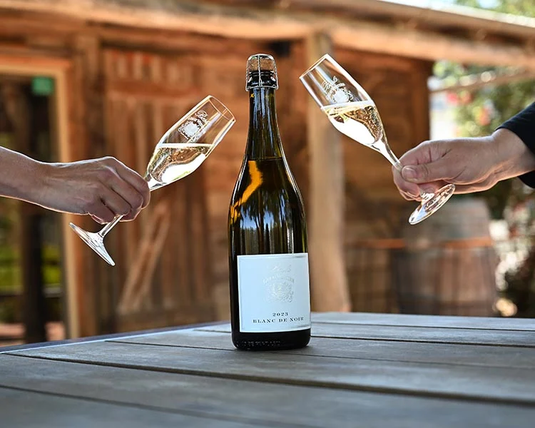 Blanc De Blancs Vs Blanc De Noirs Fiyat